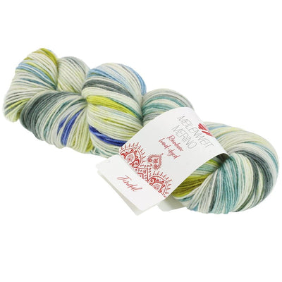 MW 100 MERINO HAND-DYED RAINBOW